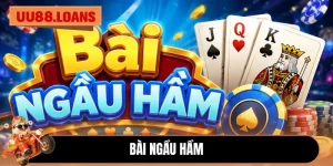 Bài Ngầu Hầm